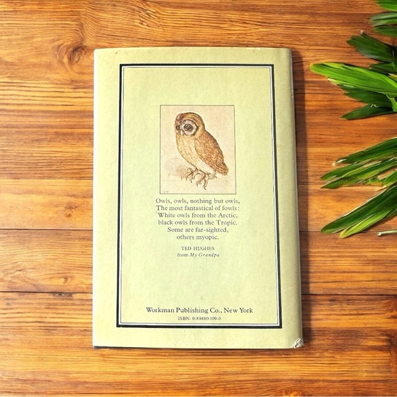 VINTAGE Owls Hardcover Book - 1982 Edition w/ Dust Jacket + Forgotten Bookmark - Picture 2 of 9